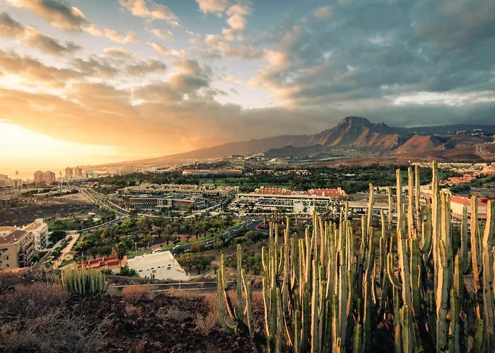 Penthouse With Ocean View Apartment
