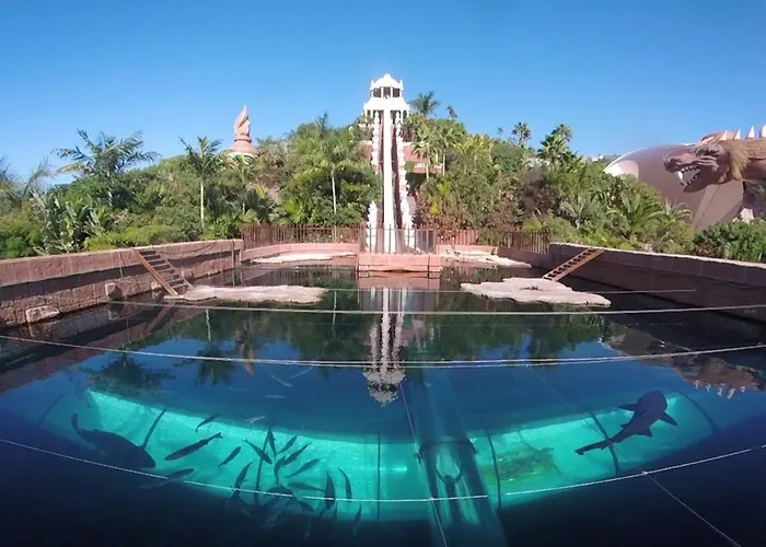 Penthouse With Ocean View Apartment