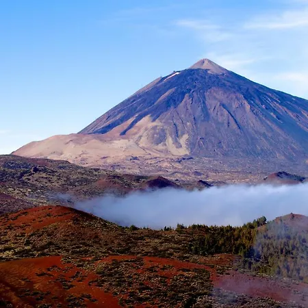 Penthouse With Ocean View *